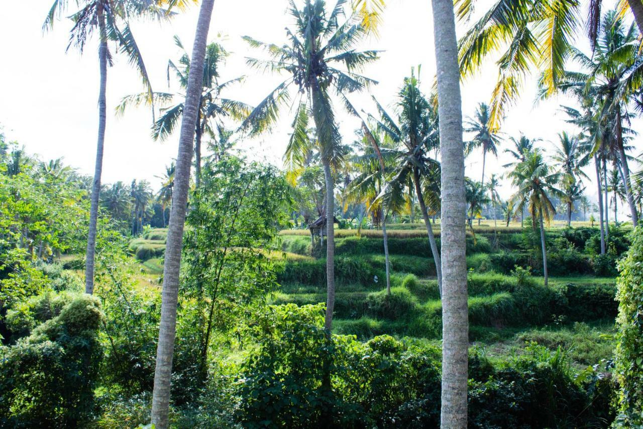 Alam Grigis Ubud Exterior photo
